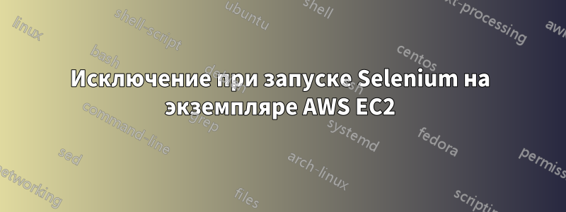 Исключение при запуске Selenium на экземпляре AWS EC2