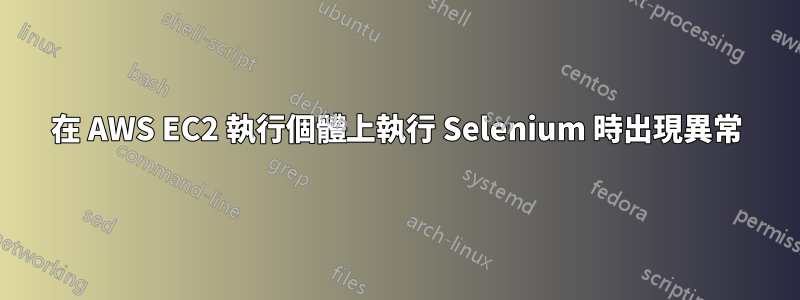 在 AWS EC2 執行個體上執行 Selenium 時出現異常