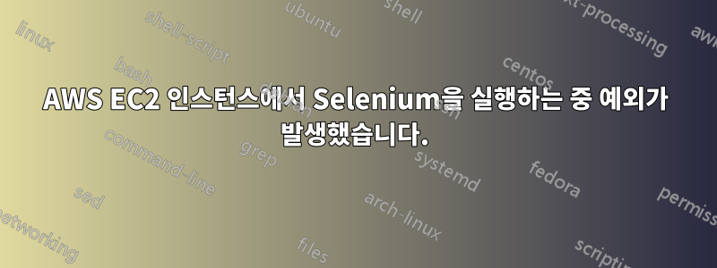 AWS EC2 인스턴스에서 Selenium을 실행하는 중 예외가 발생했습니다.