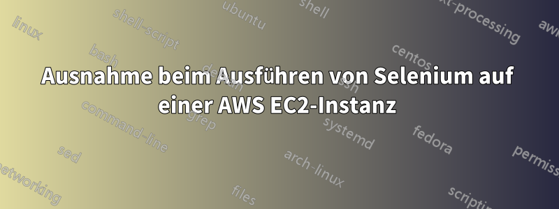 Ausnahme beim Ausführen von Selenium auf einer AWS EC2-Instanz