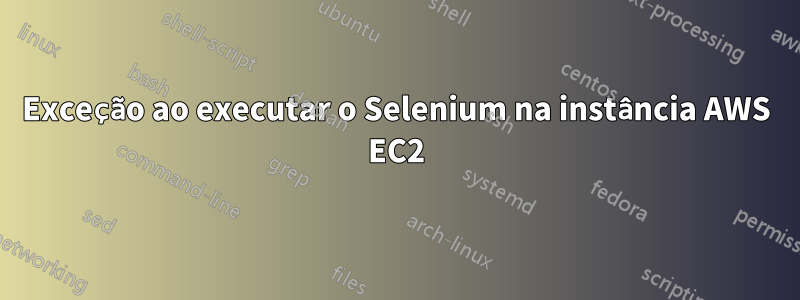 Exceção ao executar o Selenium na instância AWS EC2