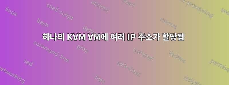 하나의 KVM VM에 여러 IP 주소가 할당됨