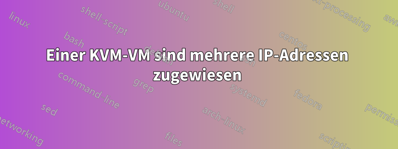 Einer KVM-VM sind mehrere IP-Adressen zugewiesen