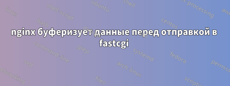 nginx буферизует данные перед отправкой в ​​fastcgi