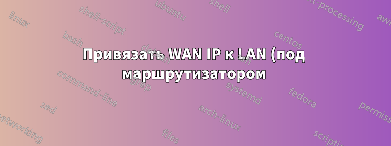 Привязать WAN IP к LAN (под маршрутизатором) IIS