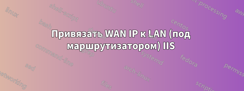 Привязать WAN IP к LAN (под маршрутизатором) IIS