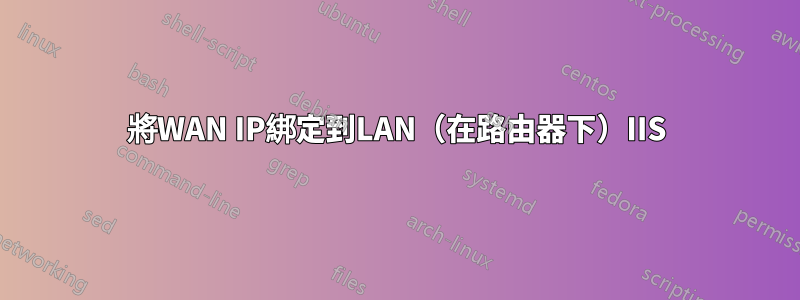 將WAN IP綁定到LAN（在路由器下）IIS