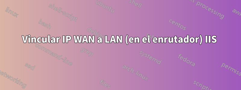 Vincular IP WAN a LAN (en el enrutador) IIS