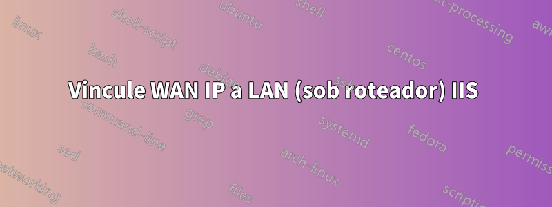 Vincule WAN IP a LAN (sob roteador) IIS