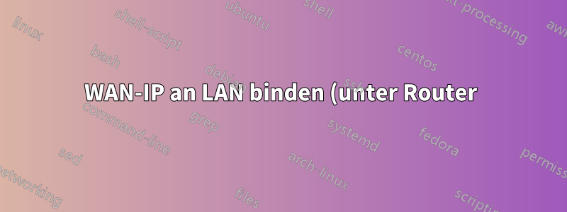 WAN-IP an LAN binden (unter Router) IIS