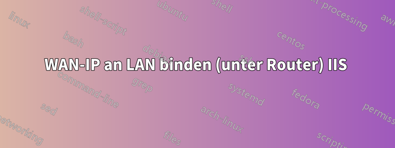 WAN-IP an LAN binden (unter Router) IIS