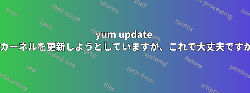 yum update はカーネルを更新しようとしていますが、これで大丈夫ですか?