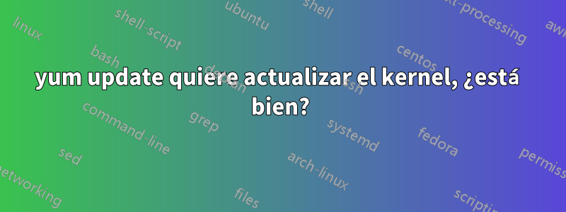 yum update quiere actualizar el kernel, ¿está bien?