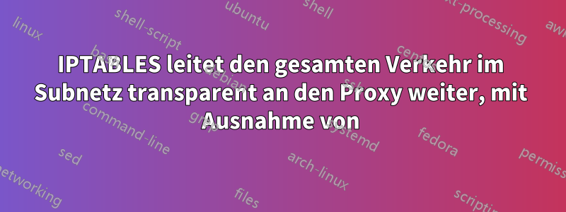 IPTABLES leitet den gesamten Verkehr im Subnetz transparent an den Proxy weiter, mit Ausnahme von