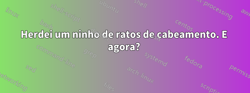 Herdei um ninho de ratos de cabeamento. E agora?