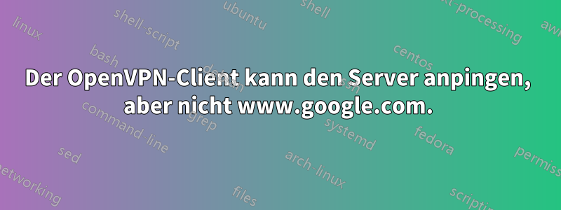 Der OpenVPN-Client kann den Server anpingen, aber nicht www.google.com.