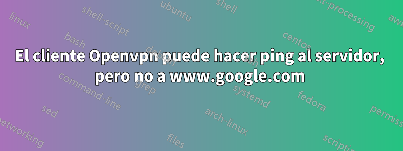 El cliente Openvpn puede hacer ping al servidor, pero no a www.google.com