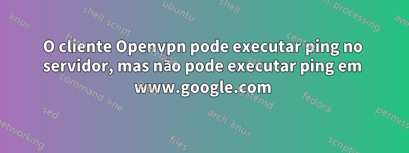 O cliente Openvpn pode executar ping no servidor, mas não pode executar ping em www.google.com