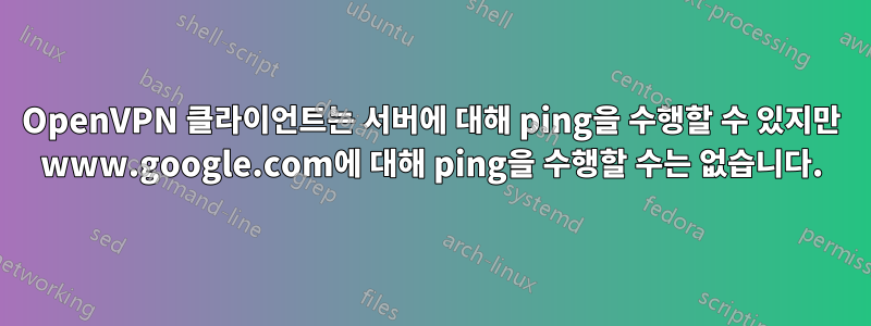 OpenVPN 클라이언트는 서버에 대해 ping을 수행할 수 있지만 www.google.com에 대해 ping을 수행할 수는 없습니다.