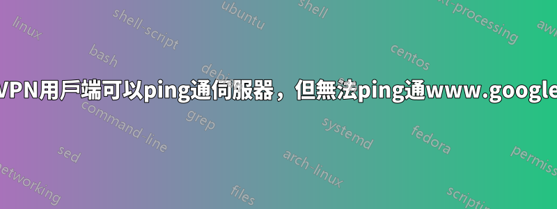 OpenVPN用戶端可以ping通伺服器，但無法ping通www.google.com