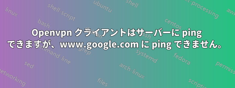 Openvpn クライアントはサーバーに ping できますが、www.google.com に ping できません。