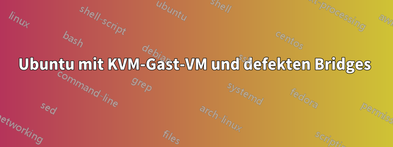 Ubuntu mit KVM-Gast-VM und defekten Bridges