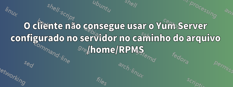 O cliente não consegue usar o Yum Server configurado no servidor no caminho do arquivo /home/RPMS