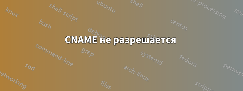 CNAME не разрешается