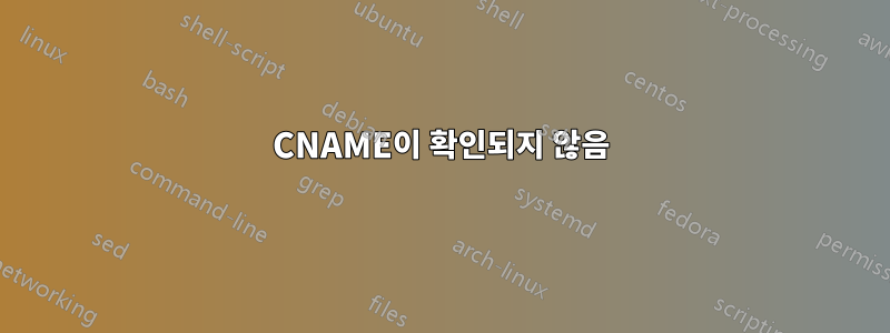 CNAME이 확인되지 않음