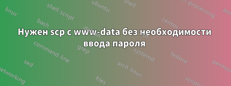 Нужен scp с www-data без необходимости ввода пароля