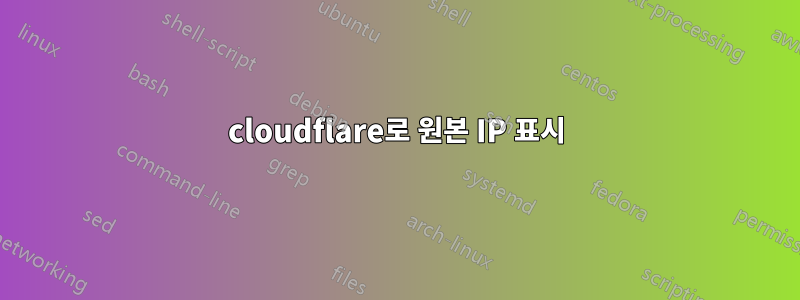 cloudflare로 원본 IP 표시