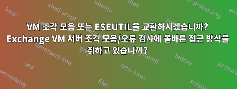 VM 조각 모음 또는 ESEUTIL을 교환하시겠습니까? Exchange VM 서버 조각 모음/오류 검사에 올바른 접근 방식을 취하고 있습니까?