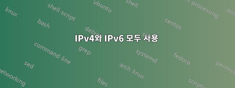 IPv4와 IPv6 모두 사용