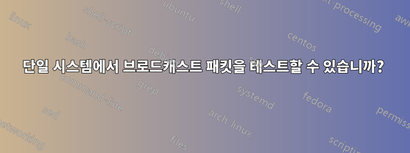 단일 시스템에서 브로드캐스트 패킷을 테스트할 수 있습니까?