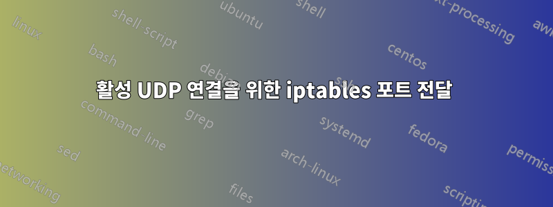 활성 UDP 연결을 위한 iptables 포트 전달