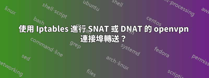 使用 Iptables 進行 SNAT 或 DNAT 的 openvpn 連接埠轉送？