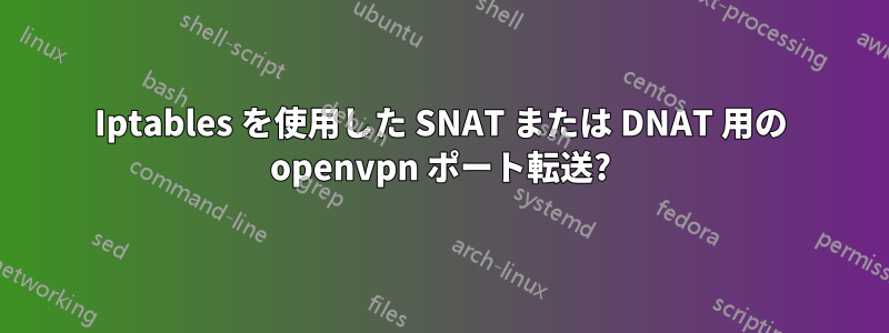 Iptables を使用した SNAT または DNAT 用の openvpn ポート転送?