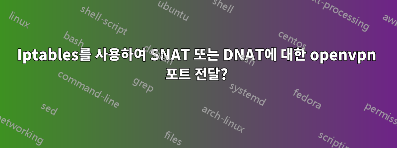 Iptables를 사용하여 SNAT 또는 DNAT에 대한 openvpn 포트 전달?