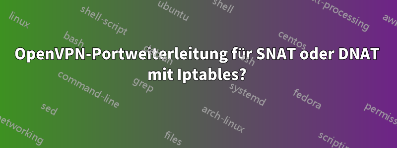 OpenVPN-Portweiterleitung für SNAT oder DNAT mit Iptables?