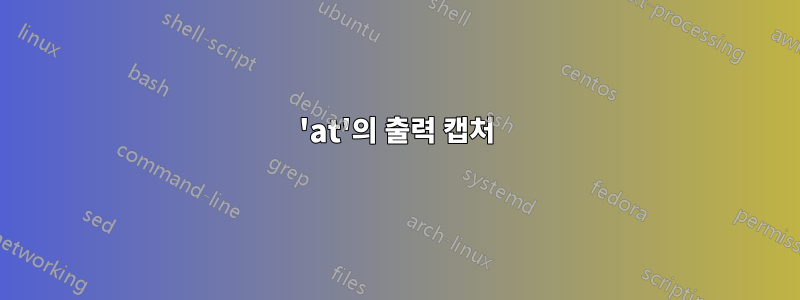 'at'의 출력 캡처