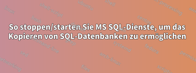 So stoppen/starten Sie MS SQL-Dienste, um das Kopieren von SQL-Datenbanken zu ermöglichen