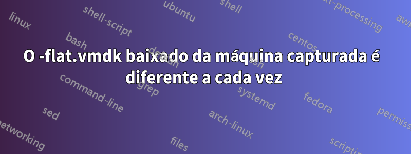 O -flat.vmdk baixado da máquina capturada é diferente a cada vez