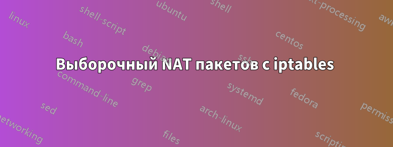 Выборочный NAT пакетов с iptables