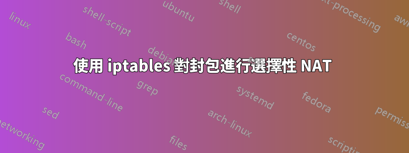 使用 iptables 對封包進行選擇性 NAT