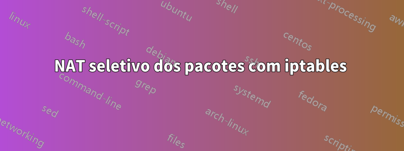 NAT seletivo dos pacotes com iptables