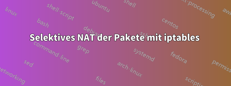 Selektives NAT der Pakete mit iptables