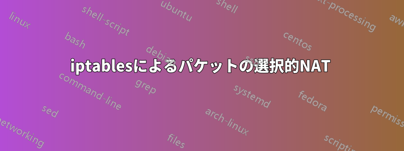 iptablesによるパケットの選択的NAT