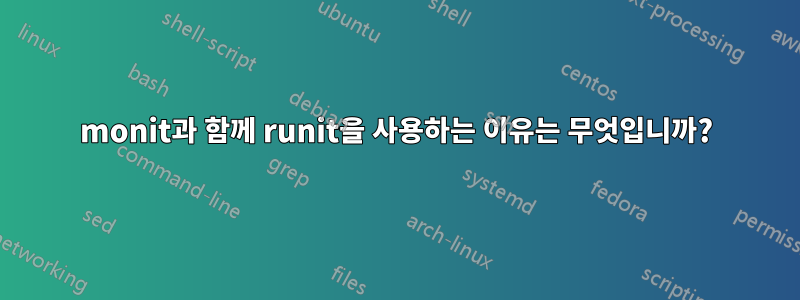 monit과 함께 runit을 사용하는 이유는 무엇입니까?