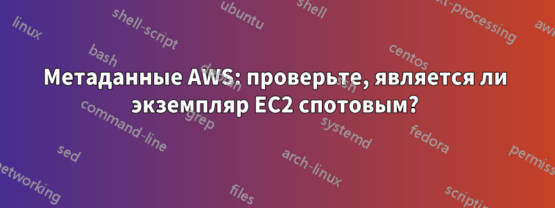 Метаданные AWS: проверьте, является ли экземпляр EC2 спотовым?