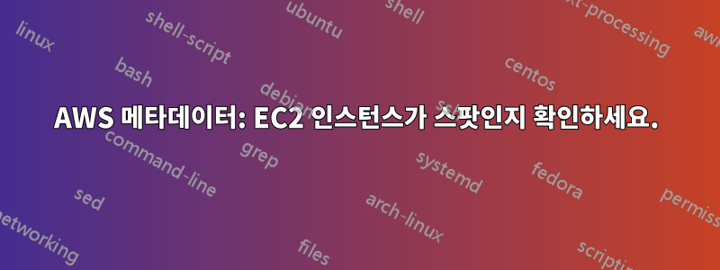 AWS 메타데이터: EC2 인스턴스가 스팟인지 확인하세요.